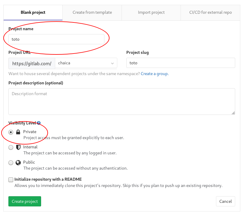 gitlab give name visibility