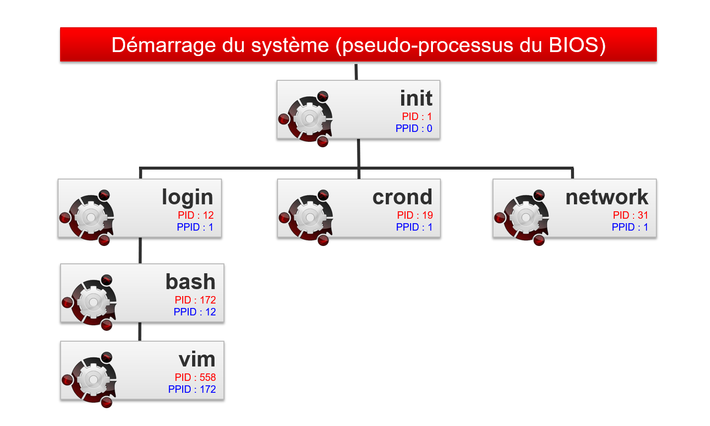 Filiation des processus